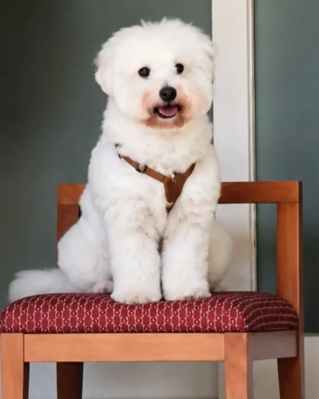 Foto kegiatan terbaru dari Lim Youngwoong