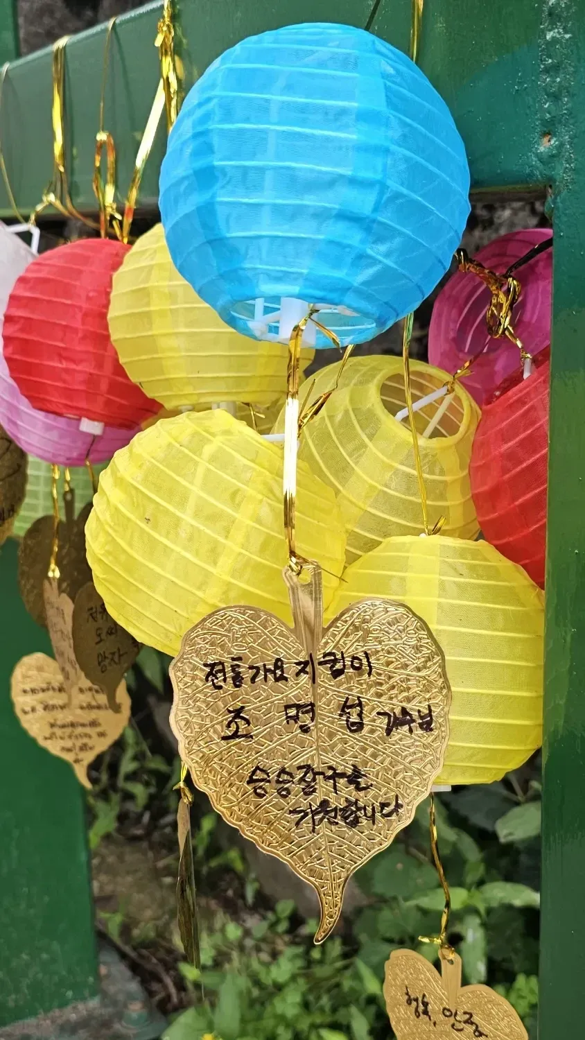 赵明燮的近期活动照
