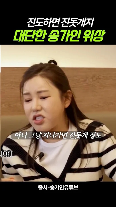 宋歌人的近期活動照