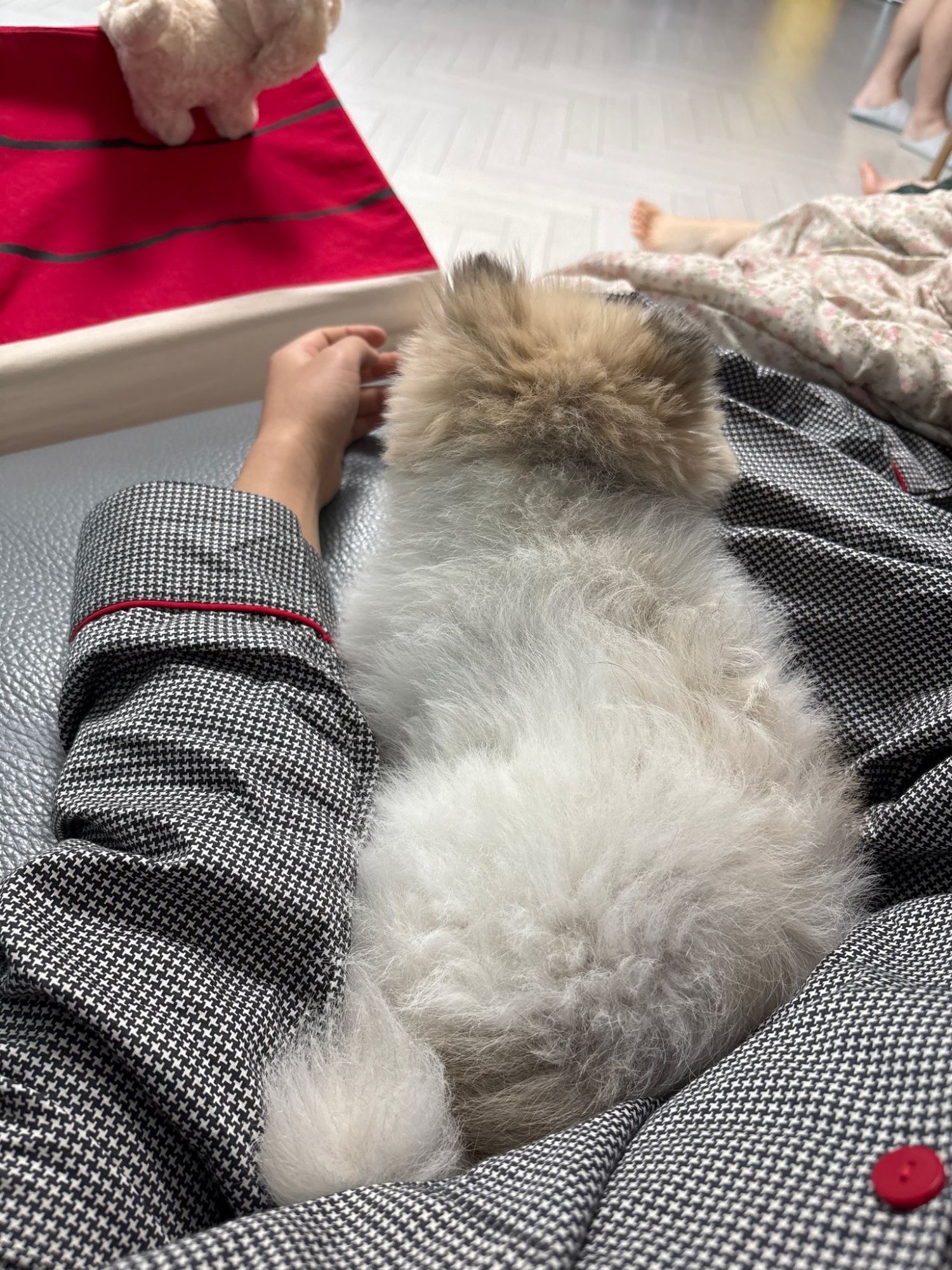 A moment captured by a fan of Kim Yohan