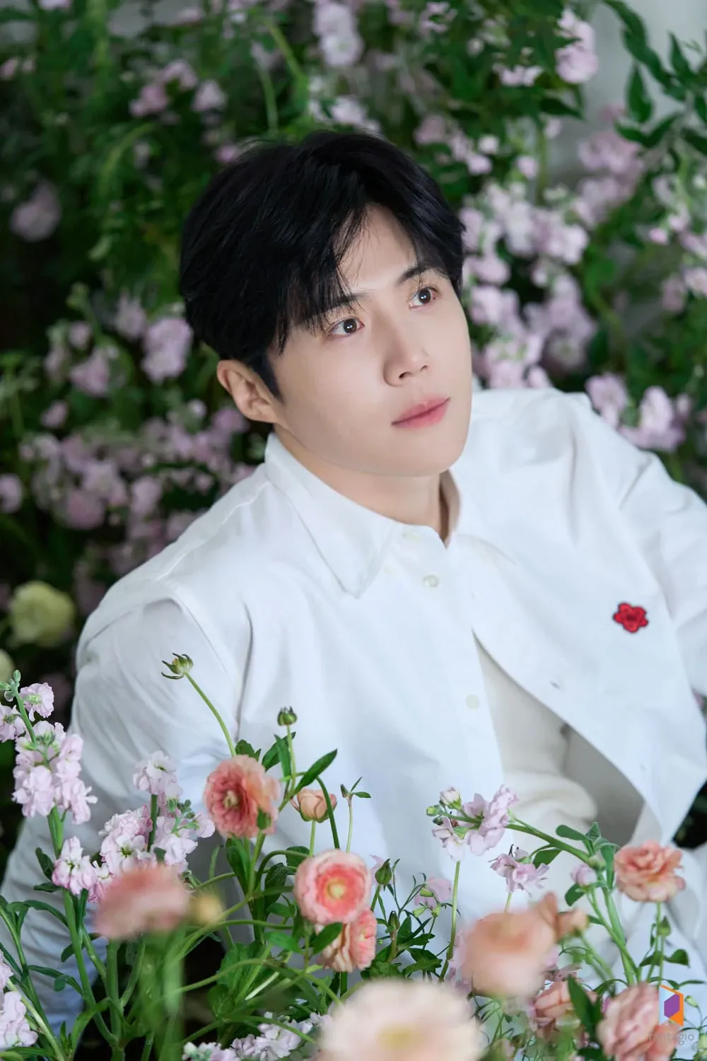 Latest photo of Kim Seonho