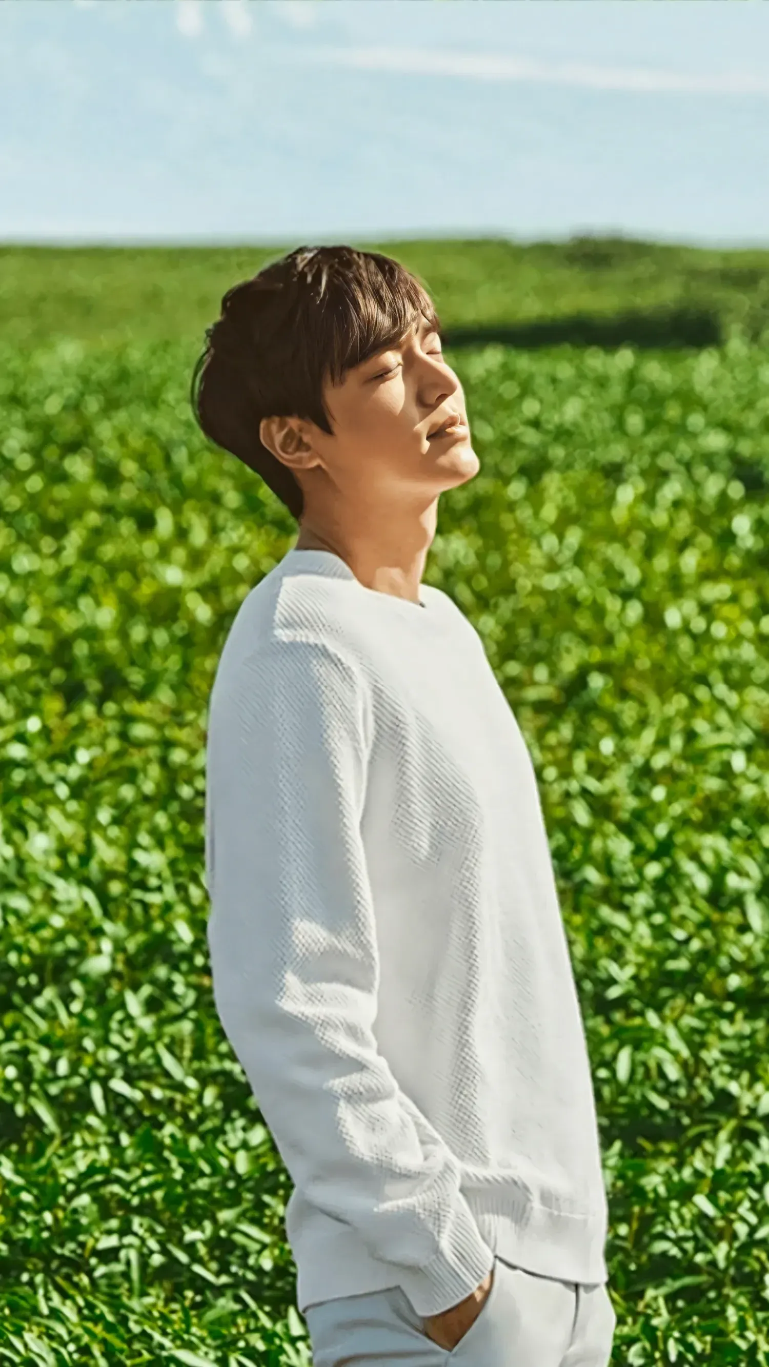 Latest photo of Lee Minho