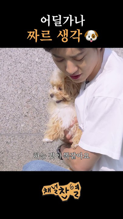 Chanyeol background image recommended by Choeaedol Celeb fandom