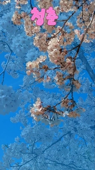 粉絲拍下的趙明燮瞬間