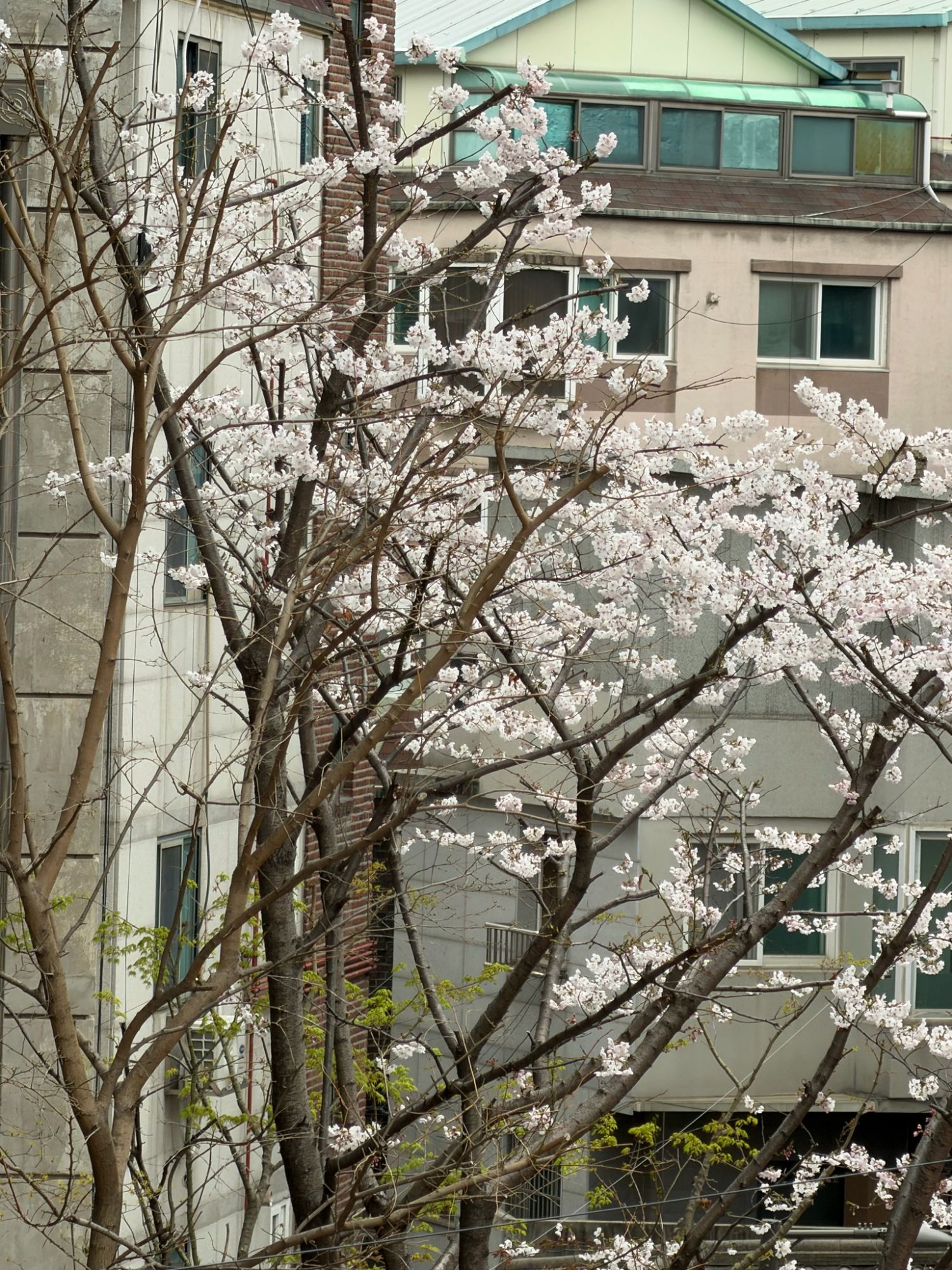 Latest photo of Kim Seonho