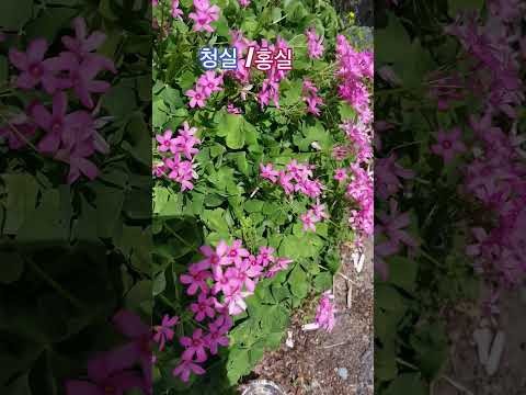 赵明燮的最新照片