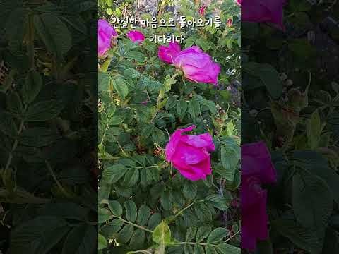 조명섭의 최신 사진