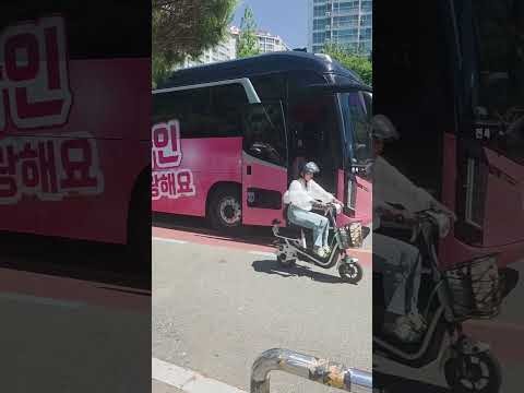 宋歌人的最新照片