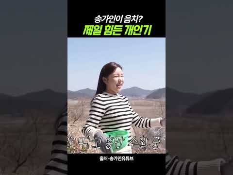 ファンが撮影したソン・ガインの瞬間