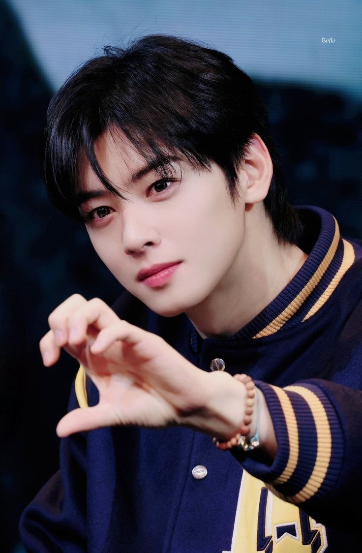 ファンが撮影したチャ・ウヌの瞬間