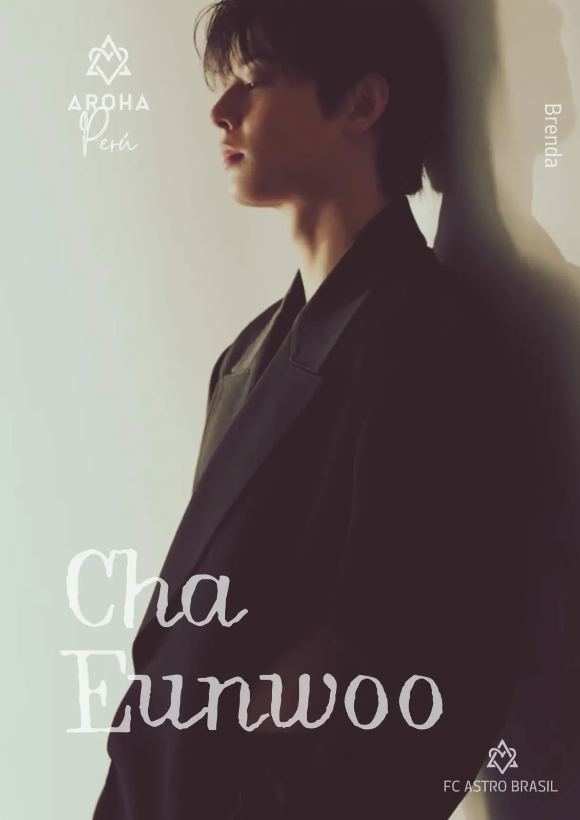 A moment captured by a fan of Cha Eunwoo