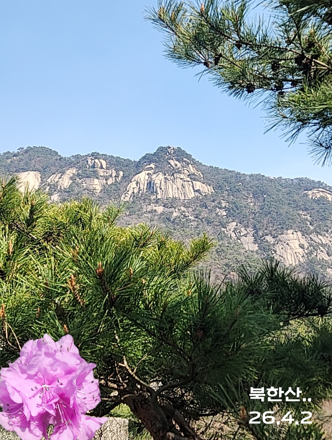 Recent activity shot of Jin Haesung