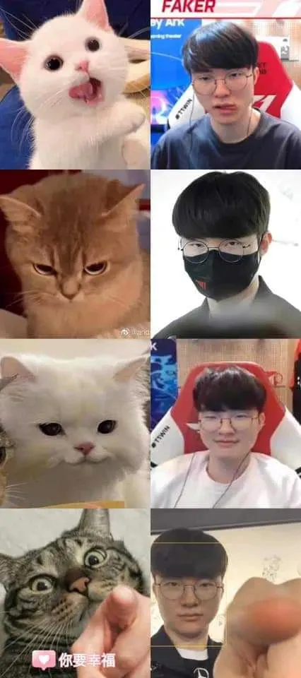 페이커의 비하인드 컷