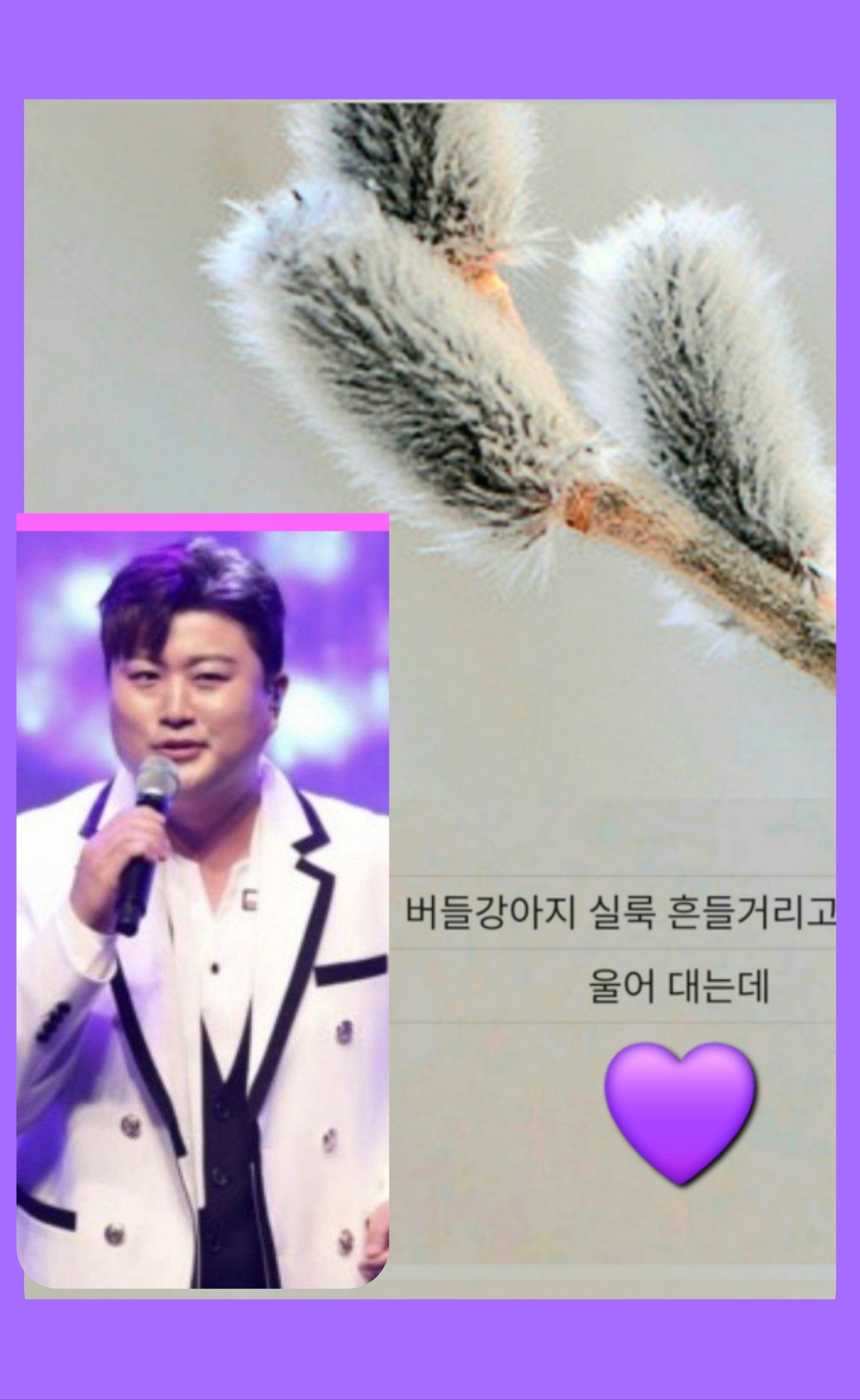 金浩中的近期活动照