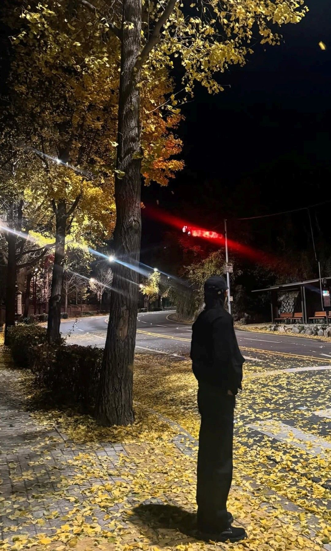 文俊辉粉丝团喜爱的代表背景图片