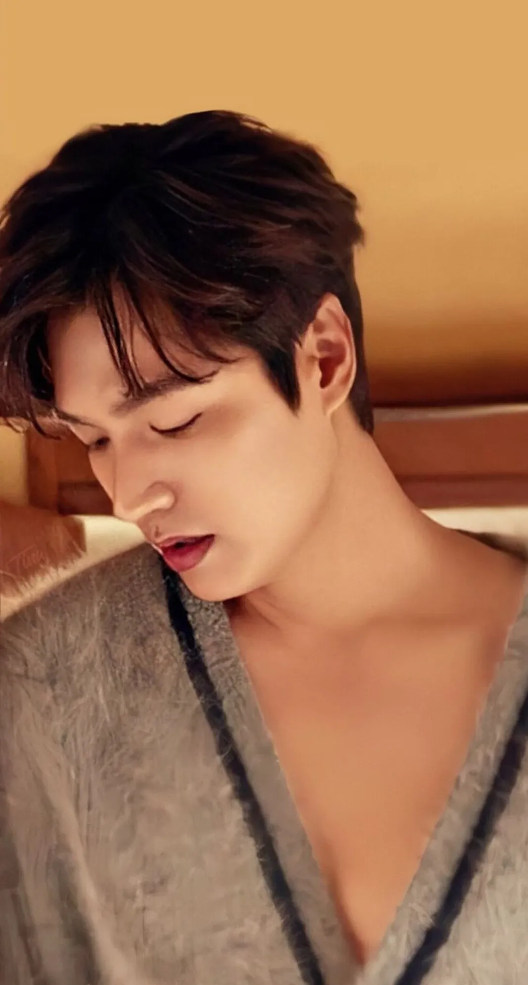 Special wallpaper made by Lee Minho's fans