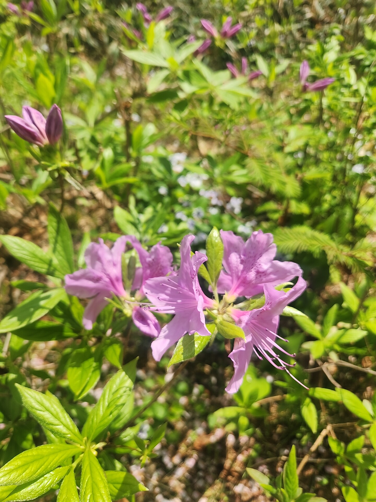 Recent activity shot of Jin Haesung