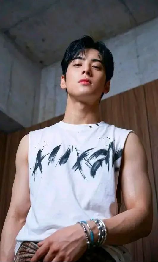Special wallpaper made by Cha Eunwoo's fans