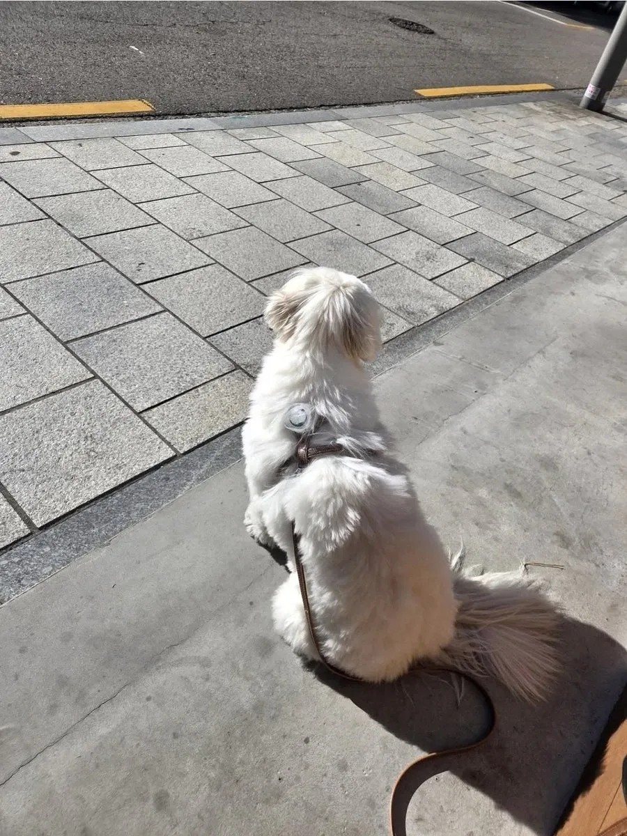 임영웅 최근 활동샷