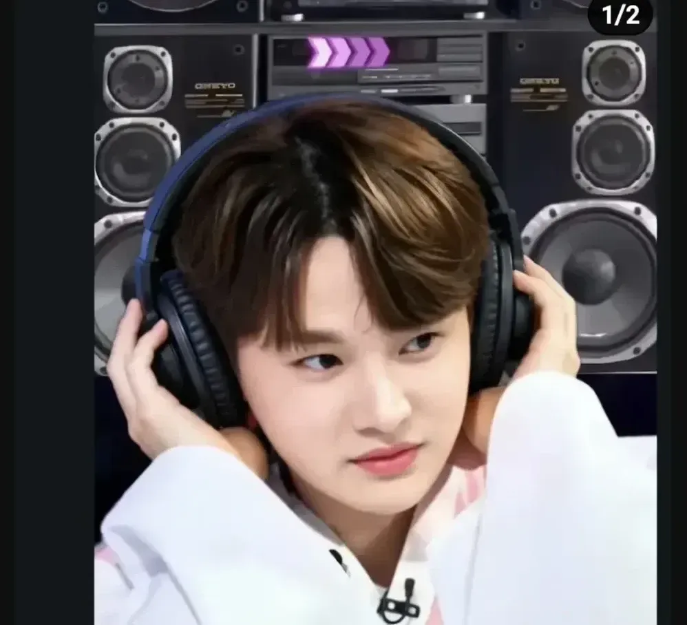 박서진 팬이 찍은 순간