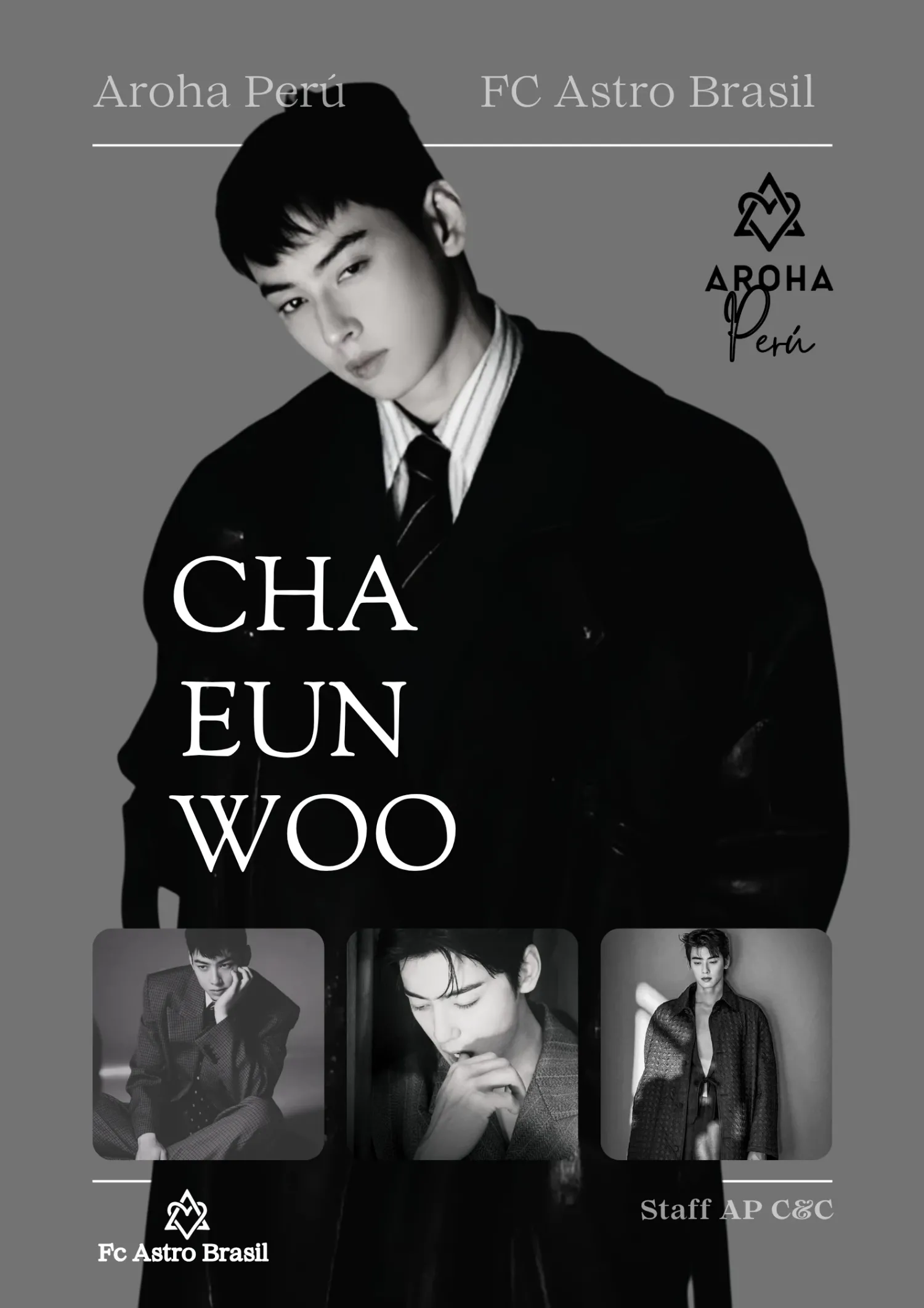 A moment captured by a fan of Cha Eunwoo
