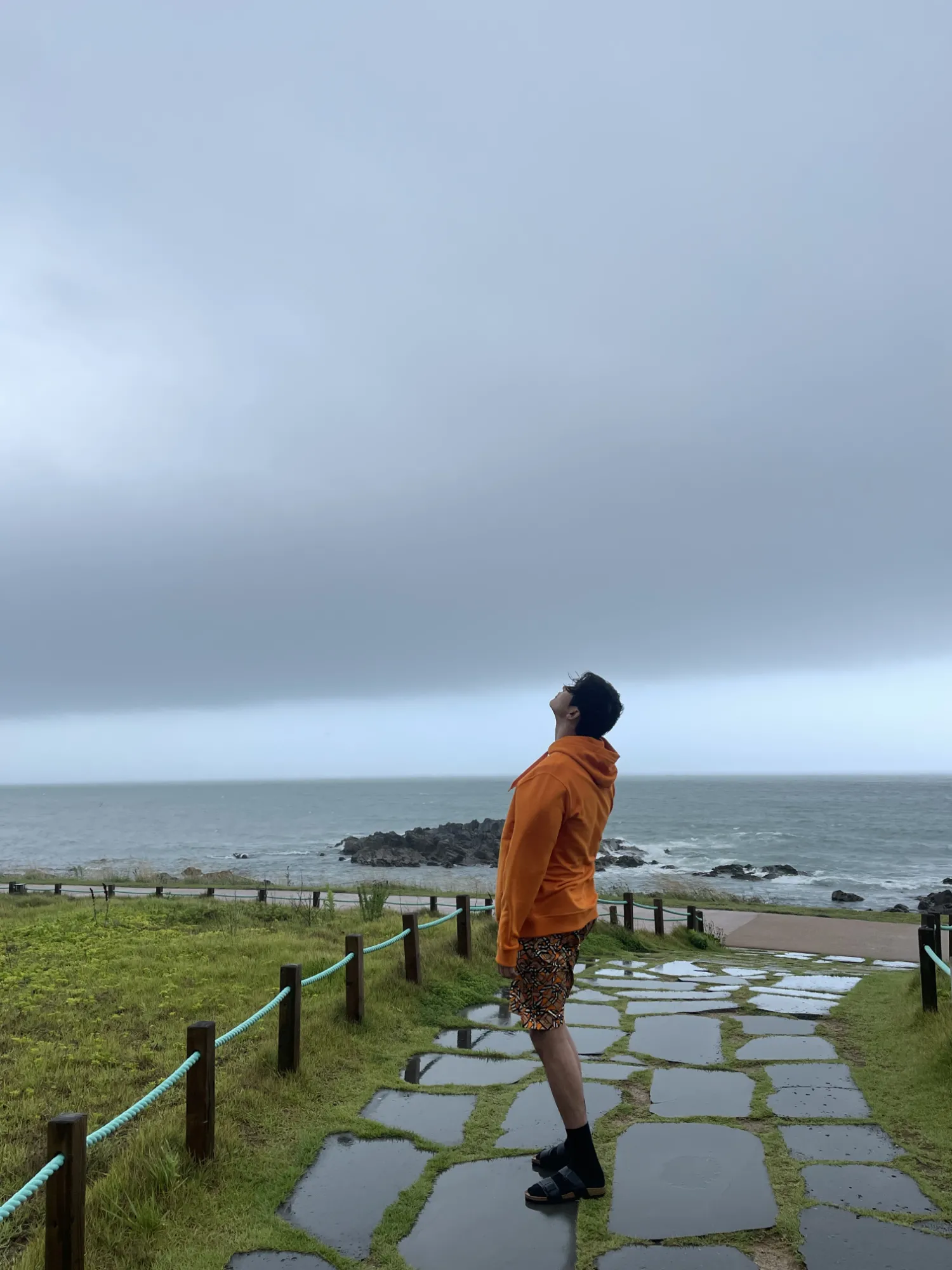 로운의 최신 사진