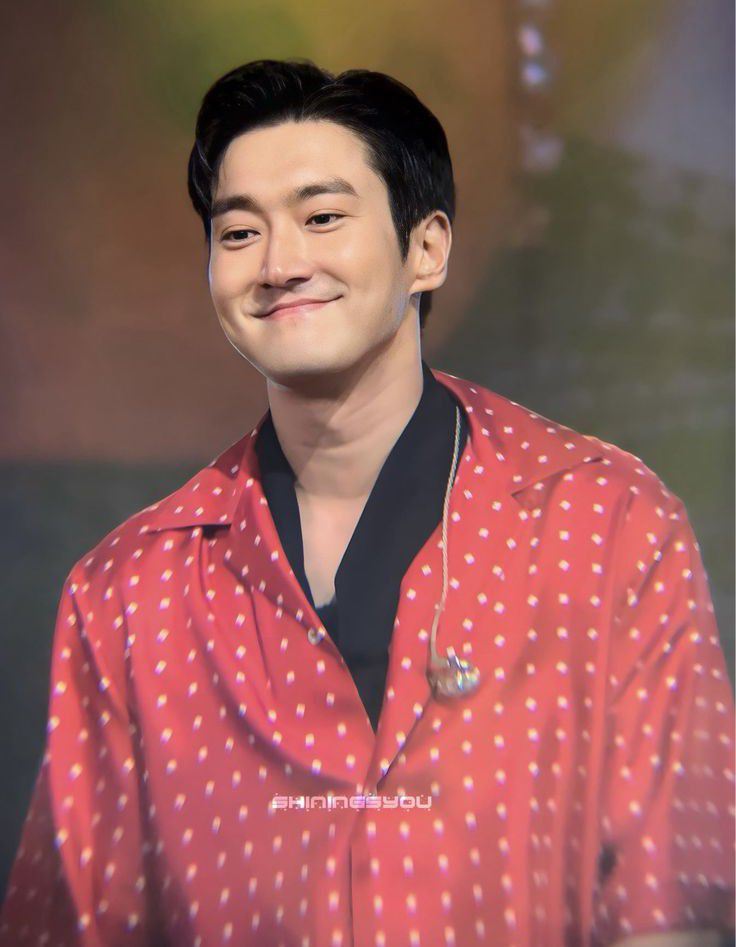 A moment captured by a fan of Choi Siwon