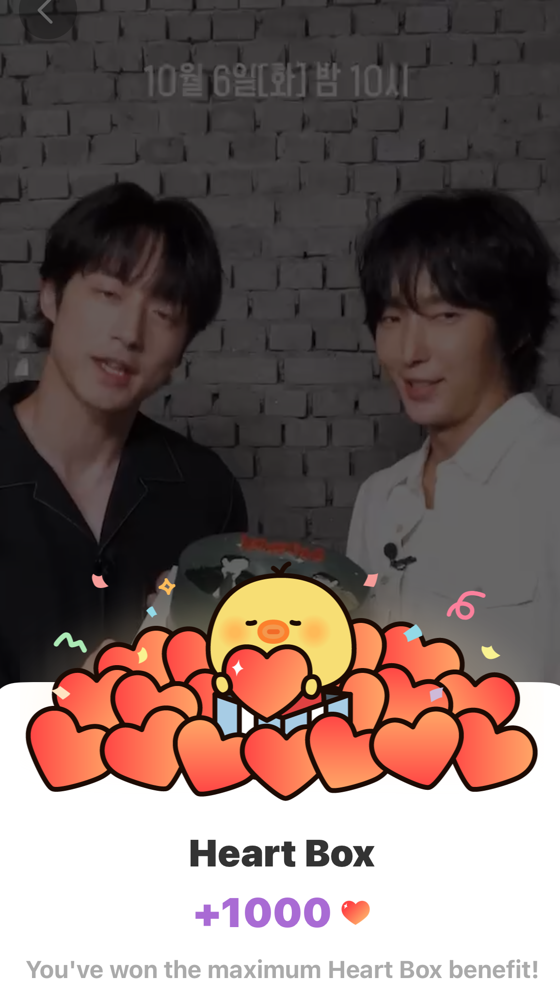 최애돌셀럽 팬덤이 추천하는 이준기 배경 이미지