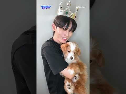Recent activity shot of Hwang Minhyun
