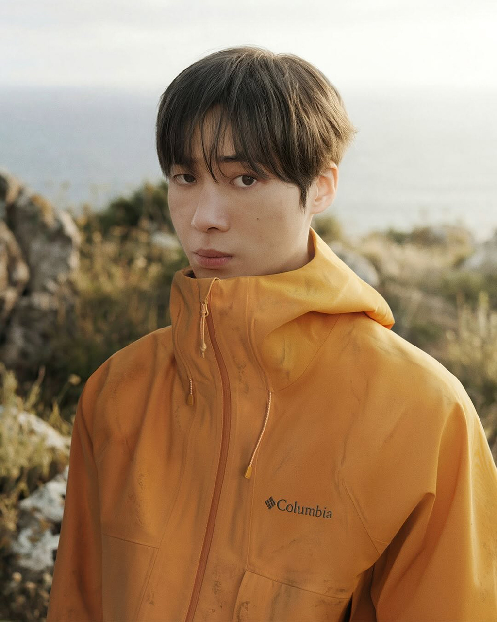 Recent activity shot of Choo Youngwoo