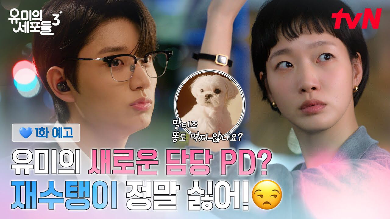 金高銀的近期活動照