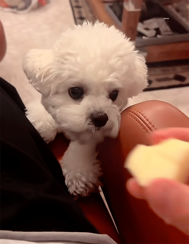 车银优的近期活动照