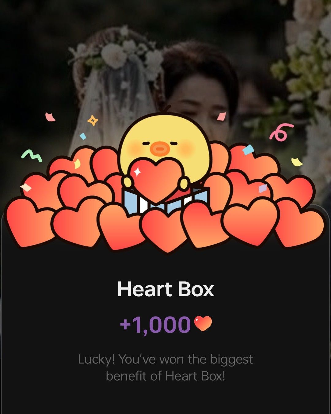 孙艺珍的近期活动照