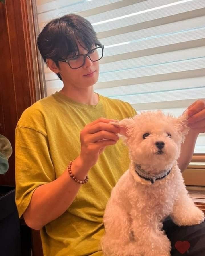 車銀優的近期活動照