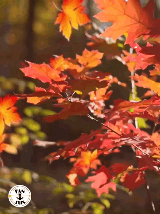 이준기의 비하인드 컷